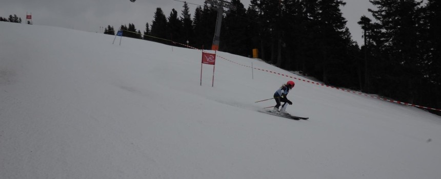 Bezirkscup Ski Patscherkofel 2017
